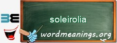 WordMeaning blackboard for soleirolia